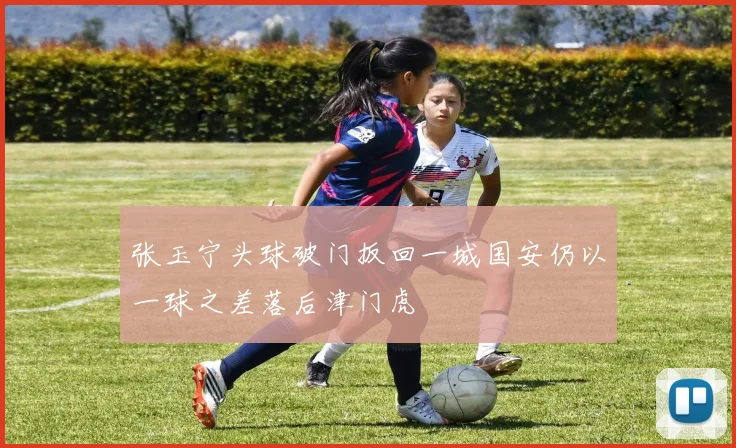 张玉宁头球破门扳回一城国安仍以一球之差落后津门虎