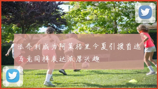 法乔利成为阿莱格里今夏引援首选马竞同样表达浓厚兴趣