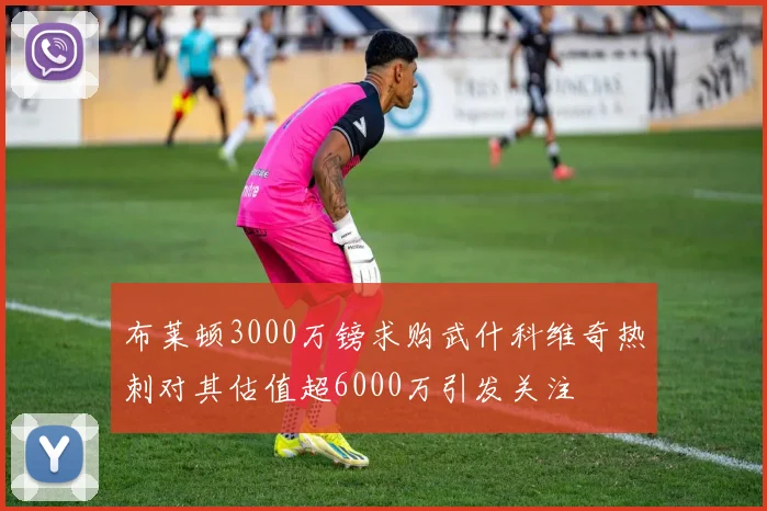 布莱顿3000万镑求购武什科维奇热刺对其估值超6000万引发关注