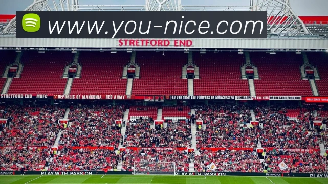 体育数据展示